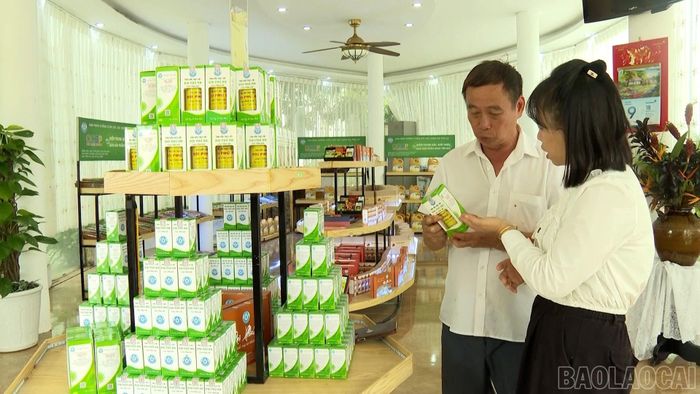 100% sản phẩm OCOP của tỉnh đã áp dụng hệ thống truy xuất nguồn gốc.