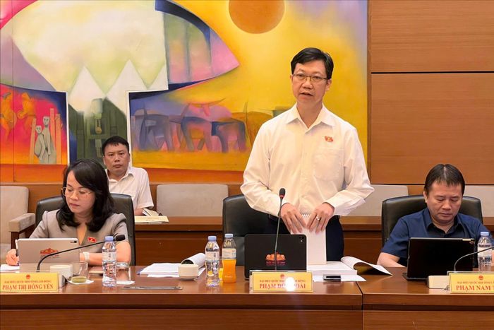 ĐBQH tỉnh Lâm Đồng Phạm Đức Hoài nêu ý kiến tại Phiên thảo luận