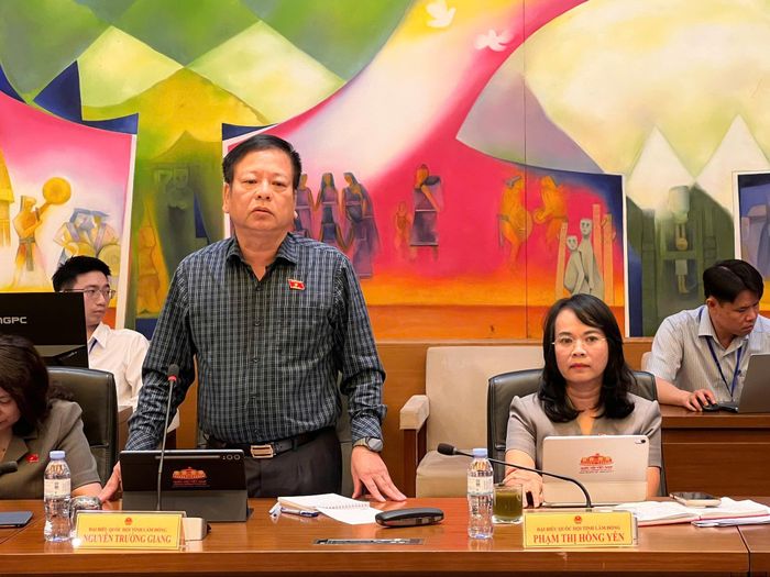ĐBQH tỉnh Lâm Đồng Nguyễn Trường Giang phát biểu