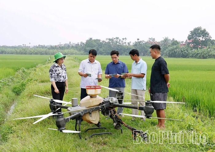 Lãnh đạo UBND xã Hiền Quan trực tiếp tham quan, chỉ đạo mô hình lần đầu tiên triển khai tại địa phương.