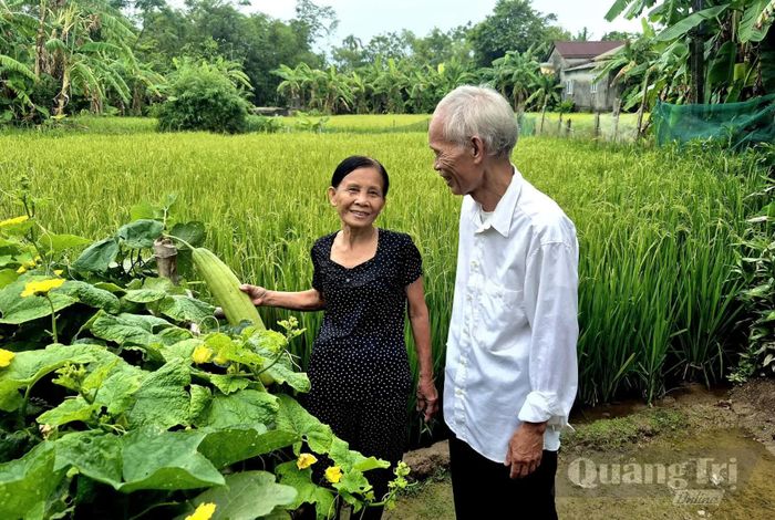 Vợ chồng ông Nguyễn Văn Thuận tích cực tăng gia sản xuất tại góc vườn nhà để cải thiện thu nhập, trang trải cuộc sống - Ảnh: K.S