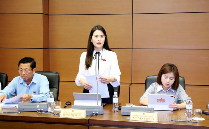 Đại biểu Vương Thị Hương tham gia ý kiến.