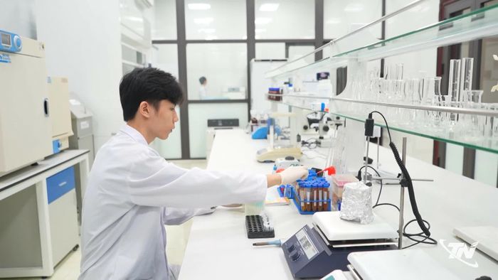 Các lĩnh vực khoa học và công nghệ, chuyển đổi số, đổi mới sáng tạo... được ưu tiên thu hút.