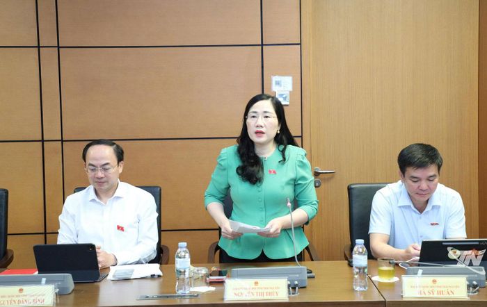 Đại biểu Nguyễn Thị Thủy phát biểu tại phiên thảo luận tổ.