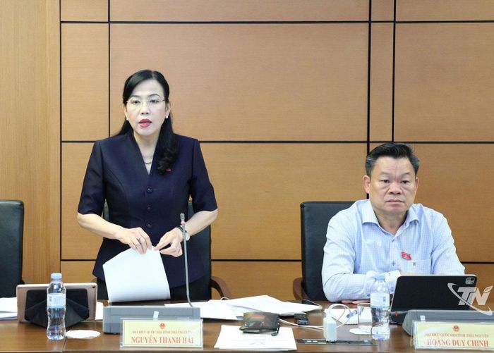 Đại biểu Nguyễn Thanh Hải phát biểu tại phiên thảo luận tổ.