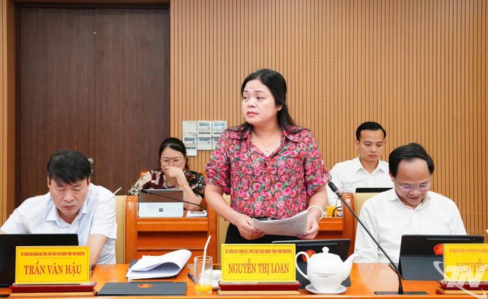 Đồng chí Nguyễn Thị Loan, Ủy viên Ban Thường vụ Tỉnh ủy, Phó Chủ tịch UBND tỉnh phát biểu.