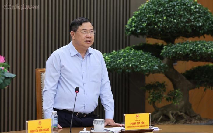 Phó Thủ tướng Thường trực Phạm Gia Túc phát biểu tại cuộc họp. Ảnh: VGP/Tuân Nguyên.