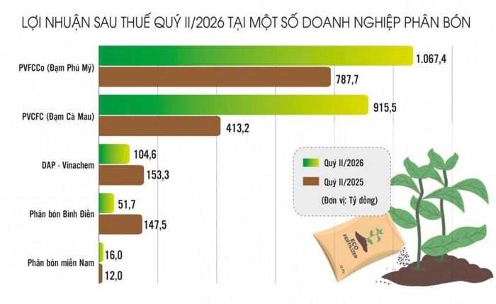Nguồn: BCTC. Đồ họa: Phương Anh