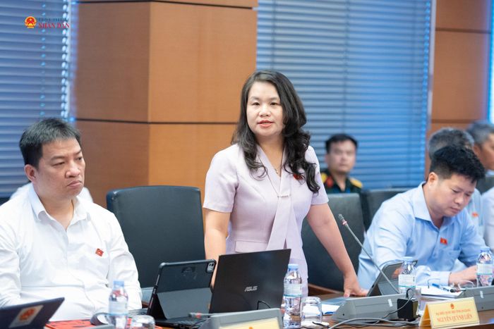 ĐBQH Nguyễn Quỳnh Liên (An Giang) phát biểu