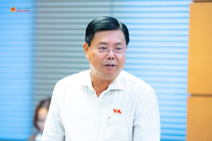 ĐBQH Nguyễn Tiến Hải (An Giang) phát biểu
