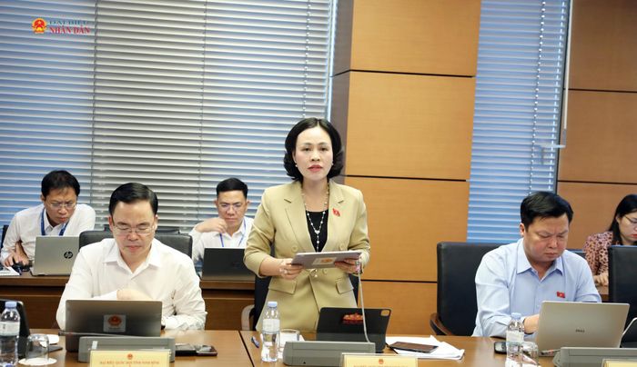 ĐBQH Trần Thị Hồng Thanh (Ninh Bình) phát biểu