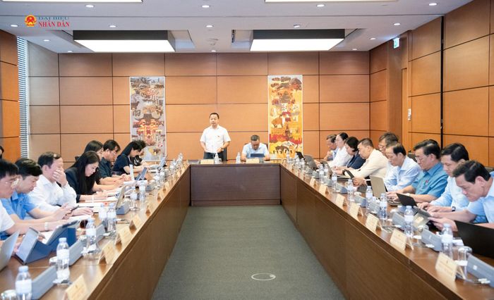 Toàn cảnh thảo luận tại Tổ 12