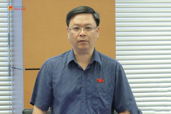 ĐBQH Nguyễn Hải Long (Đà Nẵng) phát biểu. Ảnh: Hồ Long