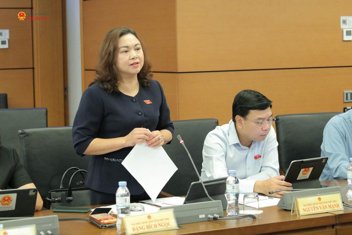 ĐBQH Đặng Bích Ngọc (Phú Thọ) phát biểu. Ảnh: Hồ Long
