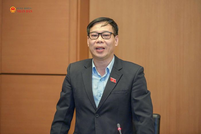 ĐBQH Đỗ Đức Hồng Hà phát biểu thảo luận. Ảnh: Quang Khánh