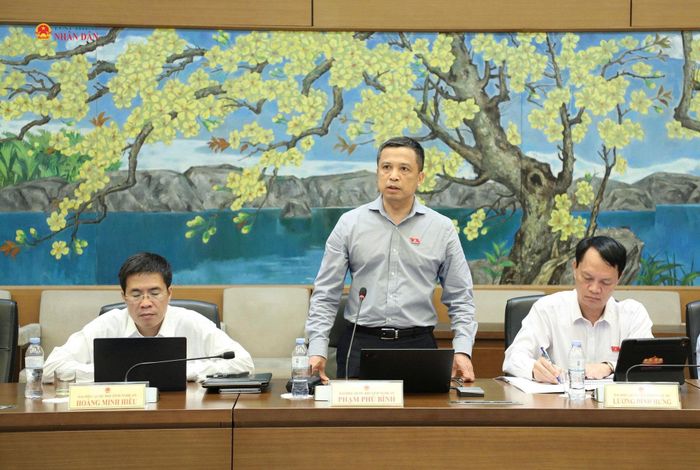 ĐBQH Phạm Phú Bình (Nghệ An) phát biểu