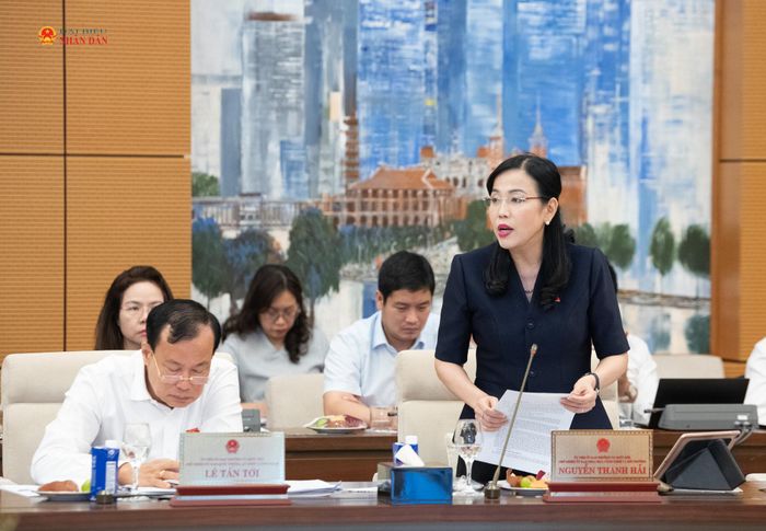 Chủ nhiệm Ủy ban Khoa học, Công nghệ và Môi trường Nguyễn Thanh Hải phát biểu tại phiên họp. Ảnh: Lâm Hiển