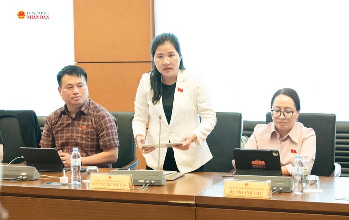 ĐBQH Đinh Thị Phương Lan (Quảng Ngãi) phát biểu