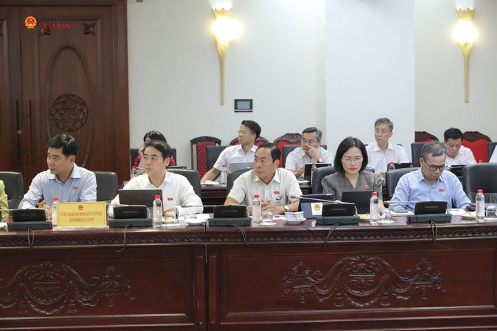 Các đại biểu dự phiên họp