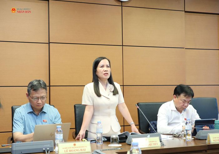 ĐBQH Trương Thị Diệu Thúy (TP. Đồng Nai) phát biểu