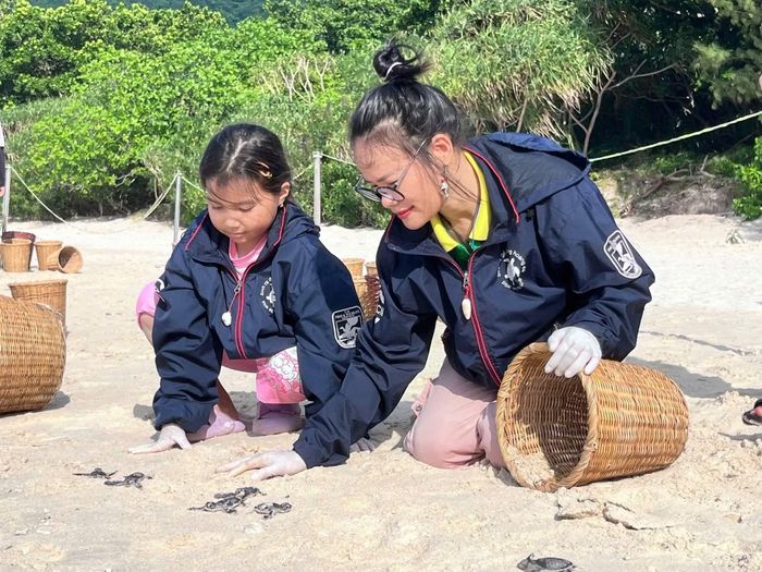  Bảo Bình hướng dẫn bạn nhỏ thả rùa con về với biển 