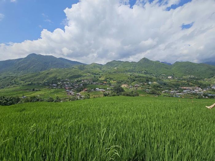 Màu xanh của lúa, của rừng cây, của trời xanh tạo nên một bức tranh sinh động. Ảnh: Tuệ Nhi