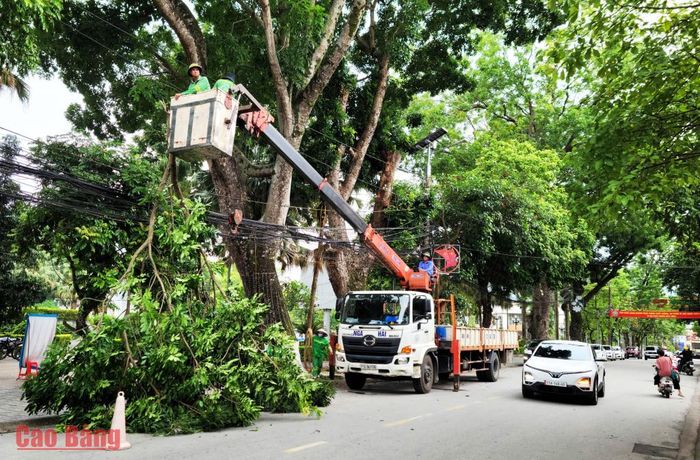 Công nhân Công ty TNHH Nga Hải cắt tỉa cây xanh tại tuyến phố Hoàng Như, phường Thục Phán.