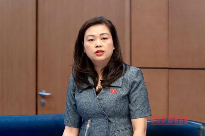 Đại biểu Đoàn Thị Lê An phát biểu tại phiên thảo luận tại tổ về dự án Luật Phổ biến, giáo dục pháp luật (sửa đổi).