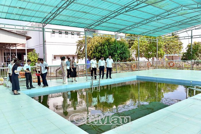  Đoàn giám sát kiểm tra khu hồ bơi tại Trường Mầm non Bạc Liêu.