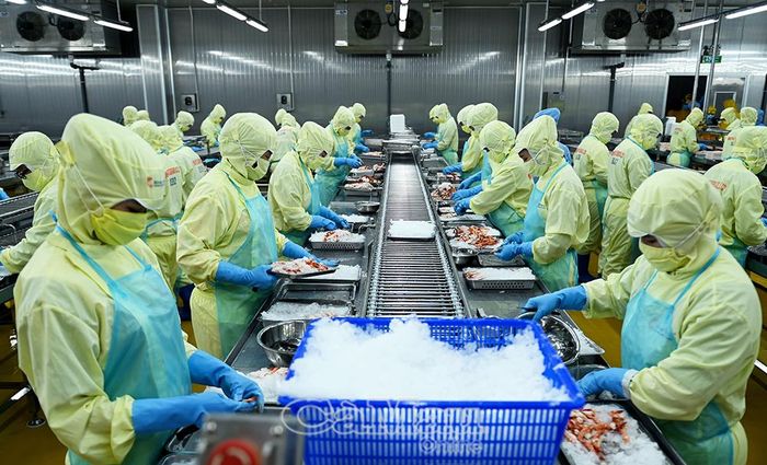 Phát huy thế mạnh nuôi và chế biến, xuất khẩu thủy sản, Cà Mau đẩy mạnh mở rộng thị trường thông qua các kênh ngoại giao kinh tế.