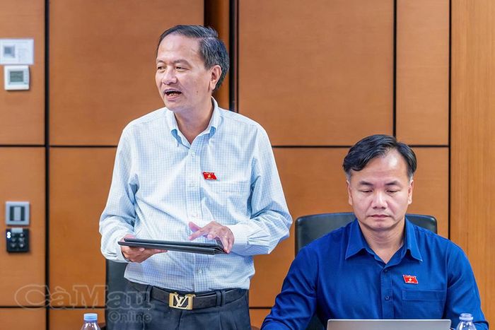 Đại biểu Đinh Ngọc Minh phát biểu thảo luận.