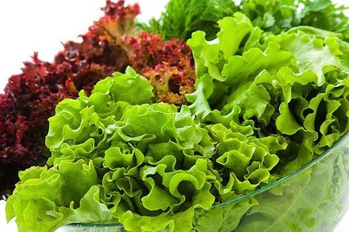 Xà lách đồng thời là nguồn cung cấp vitamin K và có tác dụng hỗ trợ tiêu hóa. Ảnh minh họa