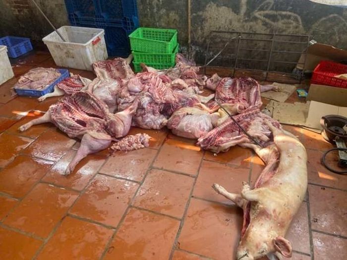 Số thịt nghi mắc bệnh truyền nhiễm nằm ngổn ngang tại cơ sở kinh doanh của ông K. Ảnh: Đội QLTT số 9.
