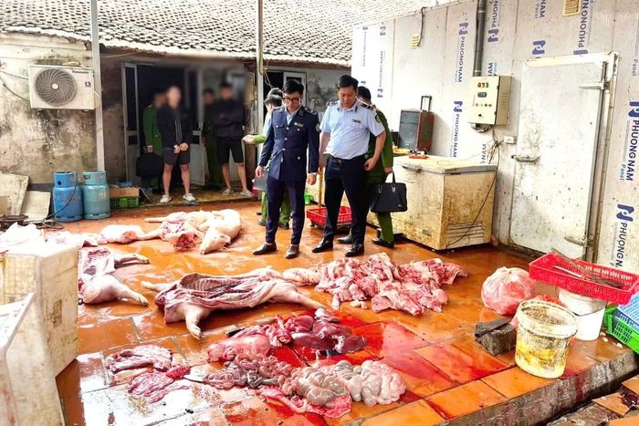Lực lượng chức năng tiến hành kiểm tra cơ sở kinh doanh của ông N.T.K. Ảnh: Đội QLTT số 9.