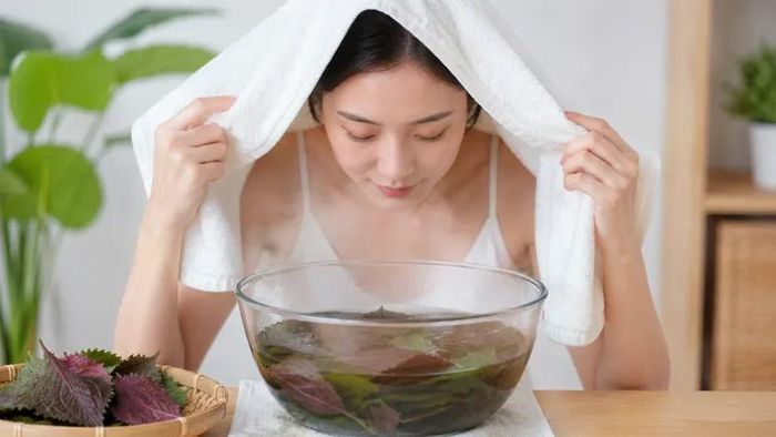 Xông mặt bằng lá tía tô là phương pháp được nhiều người dùng để chăm sóc da