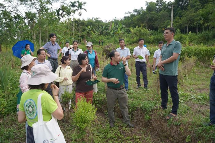 Đoàn công tác khảo sát vùng trồng tràm trà và tràm năm gân được Hợp tác xã 0789 sử dụng để chưng cất tinh dầu và nhân giống.