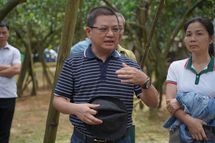 Ông Nguyễn Văn Lưu, Tổng Giám đốc Công ty Nông nghiệp Công nghệ cao Đồng Tâm nhận định, quả bưởi muốn tiếp cận thị trường xuất khẩu phải đồng đều về kích thước, chất lượng và quy trình canh tác.
