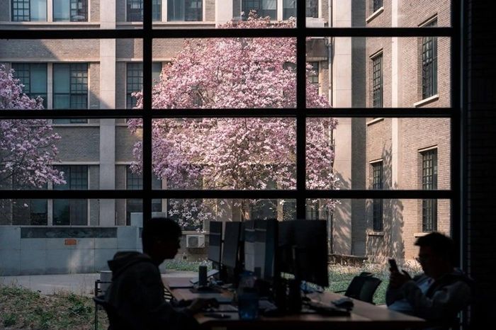 Sinh viên Đại học Bắc Kinh, Trung Quốc. (Ảnh: Đại học Bắc Kinh)