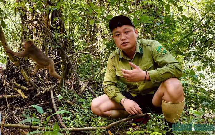 Anh Vi Đức Anh chụp cùng cá thể khỉ mặt đỏ trong chuyến tuần tra rừng tại Vườn quốc gia Pù Mát. (Ảnh: Cắt từ clip)