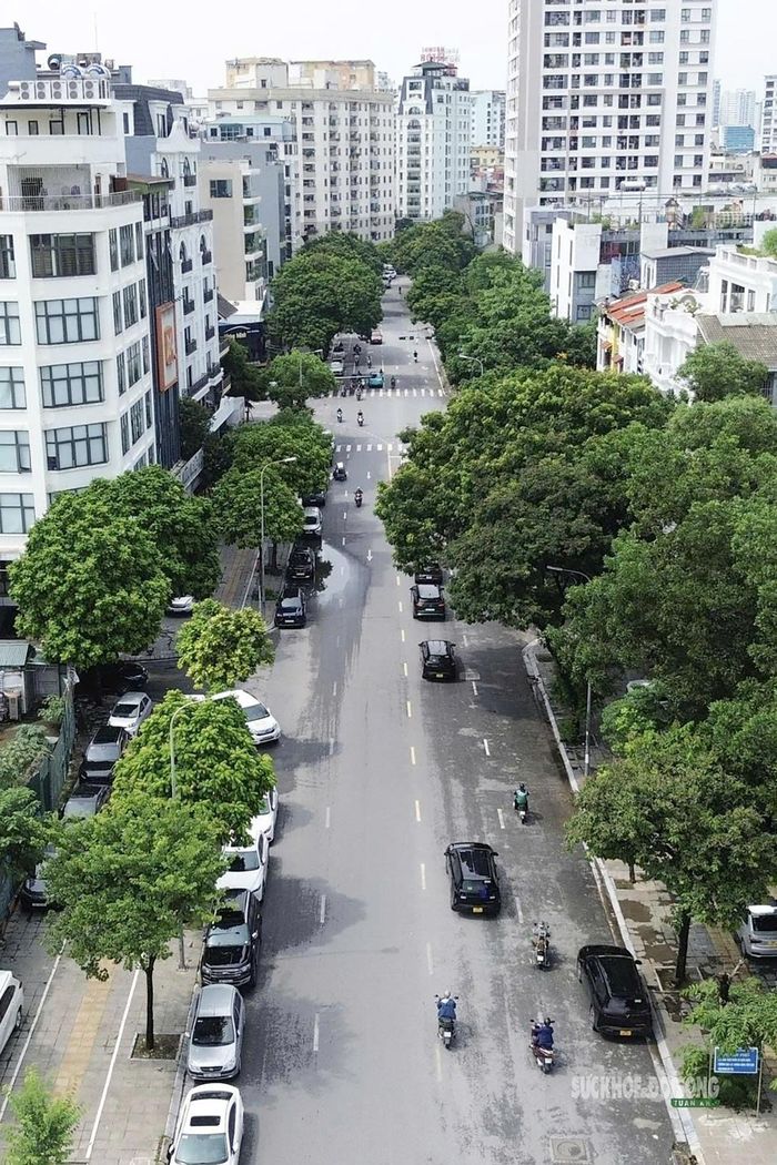 Phố Thành Thái rợp bóng cây, tiếp giáp Công viên Cầu Giấy. Ảnh: T.Anh