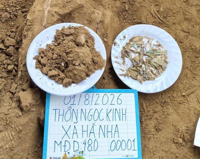 Các mẫu xương và di vật tìm thấy trong quá trình khai quật. Ảnh: Quang Cường