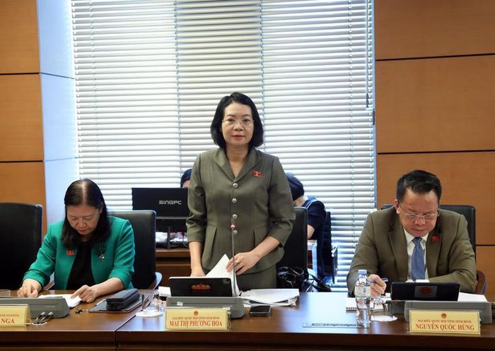 Đại biểu Mai Thị Phương Hoa. Ảnh: Media Quốc hội