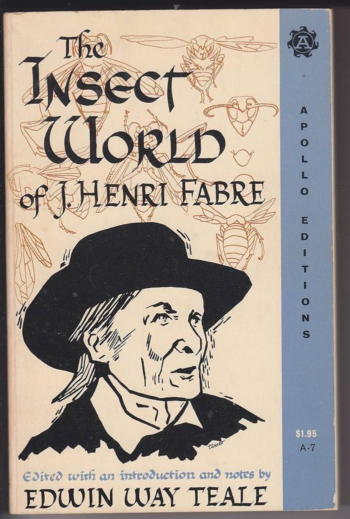  Thế giới côn trùng của J. Henri Fabre (The Insect World of J. Henri Fabre) tập hợp nhiều khám phá quan trọng của nhà tự nhiên học này. Ảnh: Amazon.