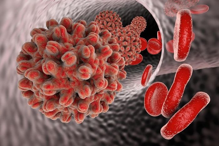 Tiêm vaccine không đồng nghĩa với việc an toàn 100% trước virus gây viêm gan. Ảnh: MedlinePlus.