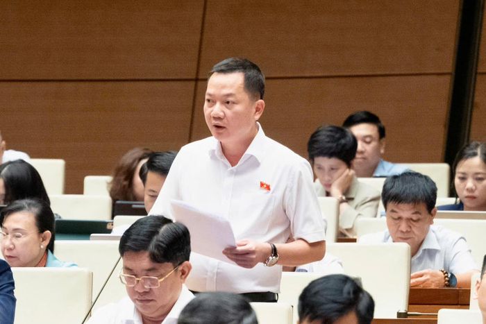  Đại biểu Trịnh Xuân An đề xuất đưa kinh doanh kim cương vào ngành, nghề kinh doanh có điều kiện. Ảnh: Quochoi.vn. 