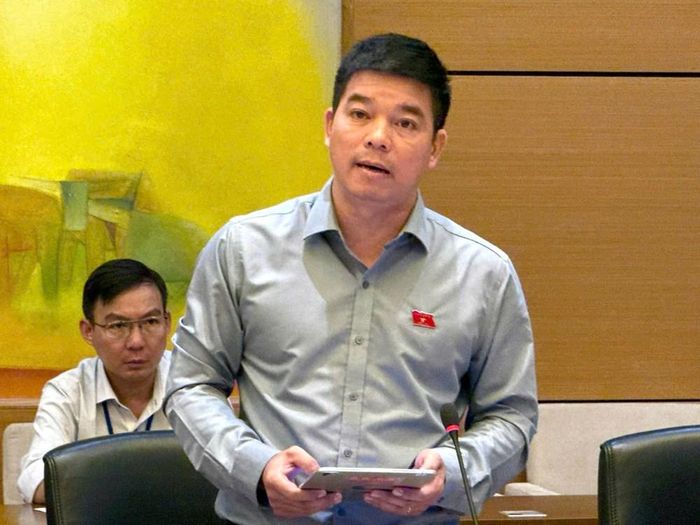 Đại biểu Nguyễn Văn Ngọc phát biểu