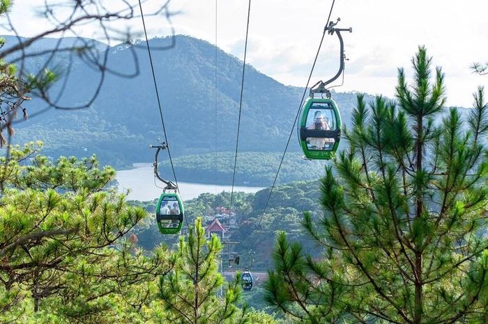 Du khách trải nghiệm cáp treo băng xuyên rừng ngắm Đà Lạt từ trên cao