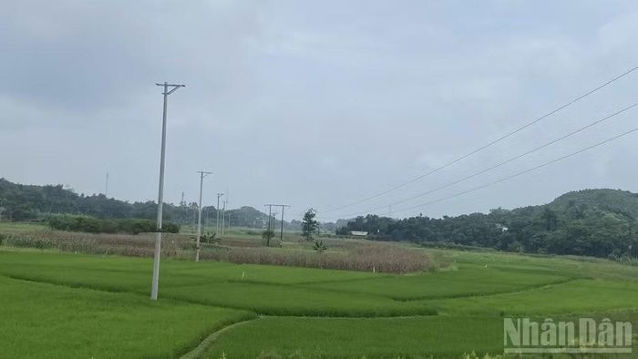 Các tuyến đường điện được đầu tư đồng bộ, hiện đại sẽ góp phần đáp ứng nhu cầu phát triển kinh tế-xã hội tại Trấn Yên.