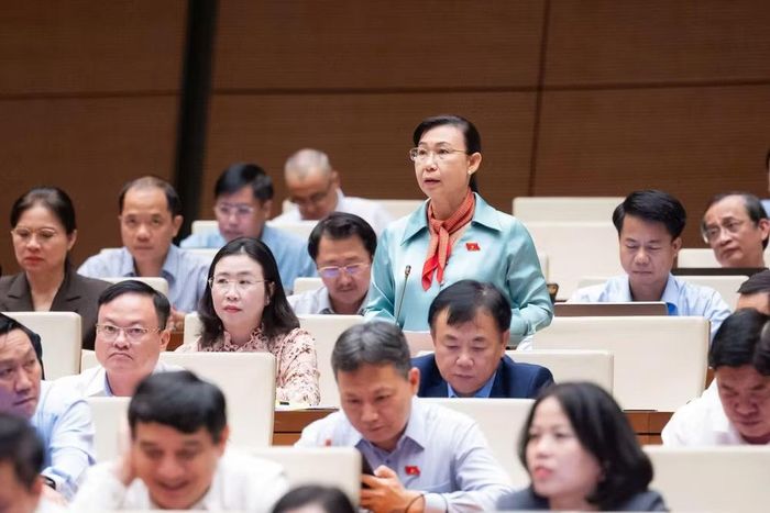 Đại biểu Phan Thị Mỹ Dung (Đoàn Tây Ninh) phát biểu tại hội trường. (Ảnh: QH)