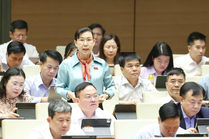  ĐB Phan Mỹ Dung (Tây Ninh). Ảnh: QUANG PHÚC 